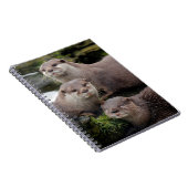 Trio der Otter Notizblock (Rechte Seite)