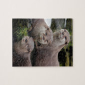 Trio der Otter Puzzle (Horizontal)