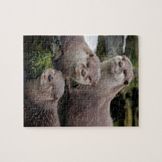 Trio der Otter Puzzle (Horizontal)