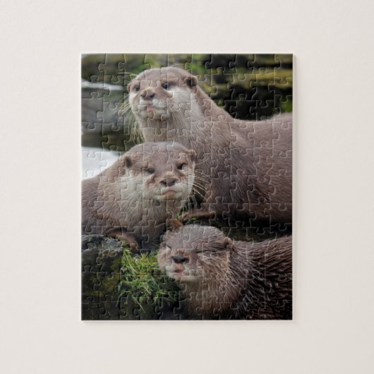 Trio der Otter Puzzle (Vertikal)