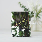 Trio der Schmetterlinge Postkarte (Stehend Vorderseite)