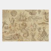 Trio der Vintagen Meereslebewesen Geschenkpapier Set (Vorderseite)