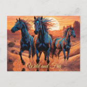 Trio der Wilden Pferde in der Wüste Postkarte (Vorderseite)