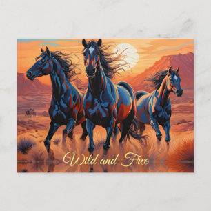 Trio der Wilden Pferde in der Wüste Postkarte