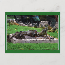 Trio in Iguana Park, Guayaquil, Ecuador Postkarte