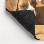 Trio of boxer Welpen mousepad (Ecke)