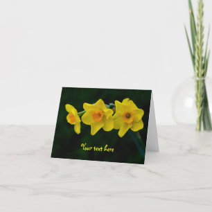 Trio of Daffodils Grußkarte Karte