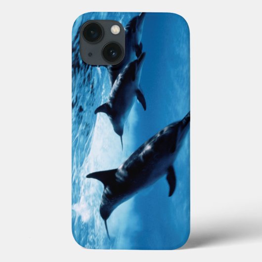 Trio of Dolphins Case-Mate iPhone Hülle (Rückseite)