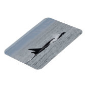 Trio of Orca Whales Magnet (Linke Seite)