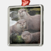 Trio of Otters Silbernes Ornament (Links)