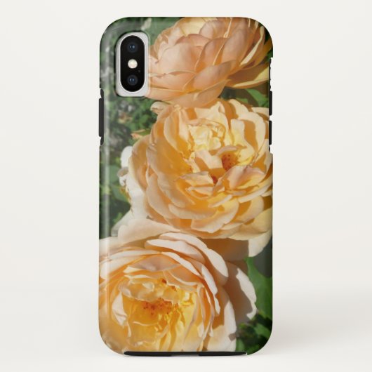 Trio of Peach Rose Floral Case-Mate iPhone Hülle (Rückseite)