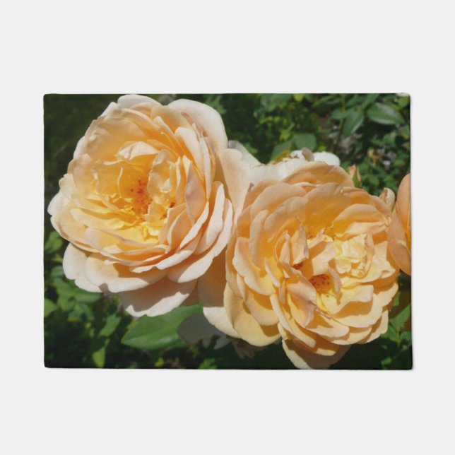 Trio of Peach Rose Floral Fußmatte (Vorderseite)