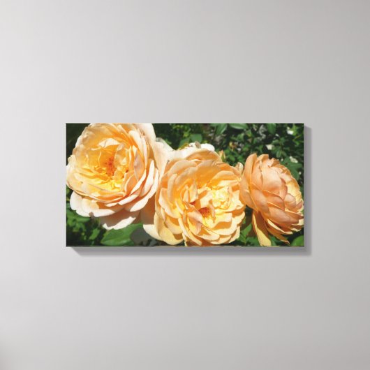 Trio of Peach Rose Floral Leinwanddruck (Vorderseite)