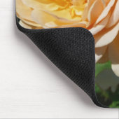 Trio of Peach Rose Floral Mousepad (Ecke)