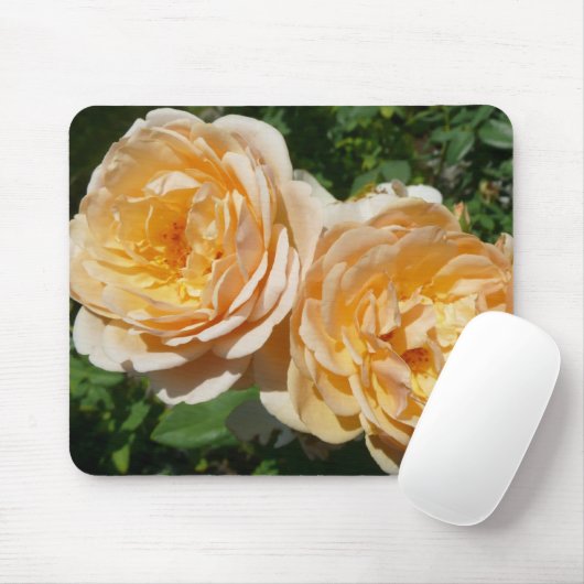 Trio of Peach Rose Floral Mousepad (Mit Mouse)