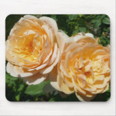 Trio of Peach Rose Floral Mousepad (Vorne)