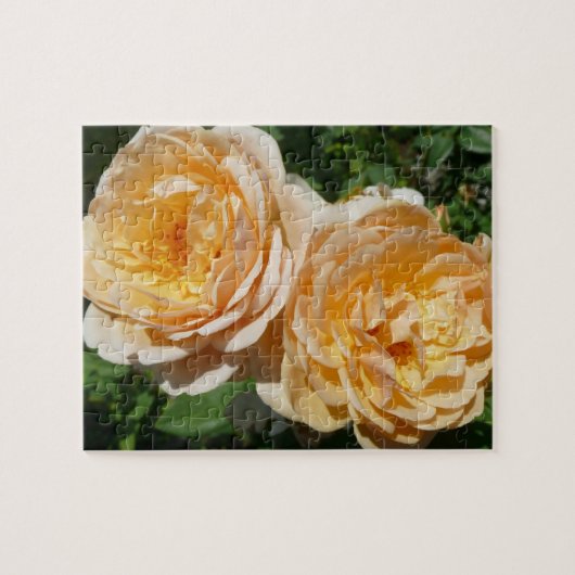 Trio of Peach Rose Floral Puzzle (Horizontal)
