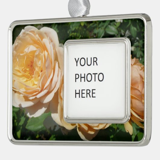 Trio of Peach Rose Floral Rahmen-Ornament Silber (Links)