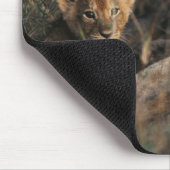 Trio of Six Week old Lion cubs sitting Mousepad (Ecke)