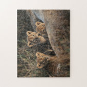 Trio of Six Week old Lion cubs sitting Puzzle (Vertikal)