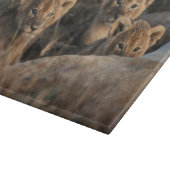 Trio of Six Week old Lion cubs sitting Schneidebrett (Ecke)