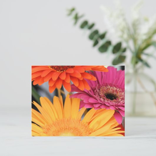 Trio Postkarte (Stehend Vorderseite)