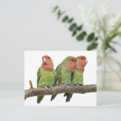 Trio-Postkarte getweetet Postkarte (Stehend Vorderseite)
