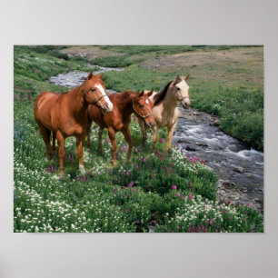 Trio Print Poster