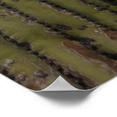 Trio saguaro cactus Arizona wüstenblauer Himmelswo Poster (Ecke)