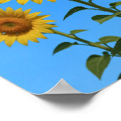 Trio Sunblumen Poster (Ecke)