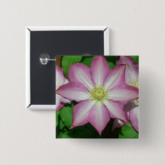 Trio von Clematin Rosa und Weißer Frühling Wein Button (Vorne & Hinten)