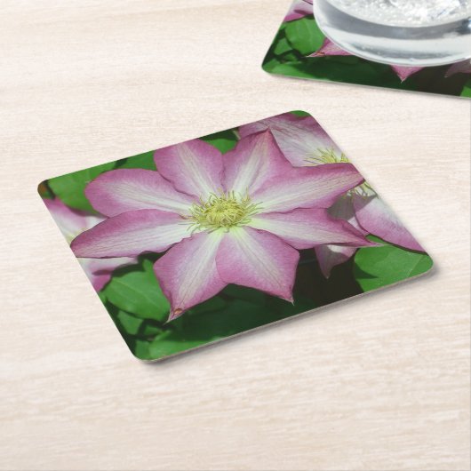 Trio von Clematin Rosa und Weißer Frühling Wein Rechteckiger Pappuntersetzer (angewinkelt)