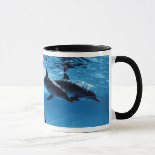 Trio von Delfinen Tasse