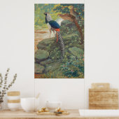 Trio von Lady Amherst Fasan durch Wasserfall Poster (Küche)