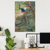 Trio von Lady Amherst Fasan durch Wasserfall Poster (Heimbüro)