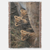Trio von Lion Cubs mit Mutter Decke (Vorderseite Vertikal)