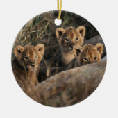 Trio von Lion Cubs mit Mutter Keramik Ornament (Vorne)