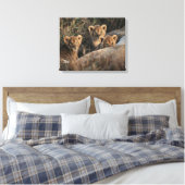 Trio von Lion Cubs mit Mutter Leinwanddruck (Insitu (Schlafzimmer))