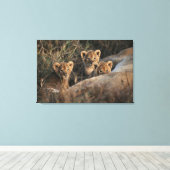Trio von Lion Cubs mit Mutter Leinwanddruck (Insitu (Holzboden))