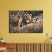 Trio von Lion Cubs mit Mutter Leinwanddruck (Insitu (Wohnzimmer))