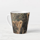 Trio von Lion Cubs mit Mutter Milchtasse (Linke Ecke)