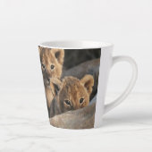 Trio von Lion Cubs mit Mutter Milchtasse (Rechts)