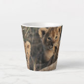 Trio von Lion Cubs mit Mutter Milchtasse (Vorderseite)