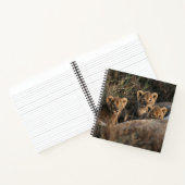 Trio von Lion Cubs mit Mutter Notizblock (Innenseite)