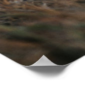 Trio von Lion Cubs mit Mutter Poster (Ecke)