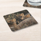 Trio von Lion Cubs mit Mutter Rechteckiger Pappuntersetzer (angewinkelt)