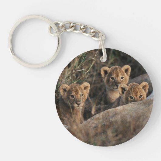 Trio von Lion Cubs mit Mutter Schlüsselanhänger (Vorderseite)