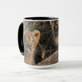 Trio von Lion Cubs mit Mutter Tasse (Vorderseite Links)
