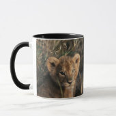 Trio von Lion Cubs mit Mutter Tasse (Links)