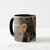 Trio von Lion Cubs mit Mutter Tasse (Vorderseite Links)